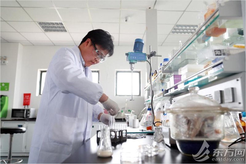 极越公司的成长之路：访谈记录